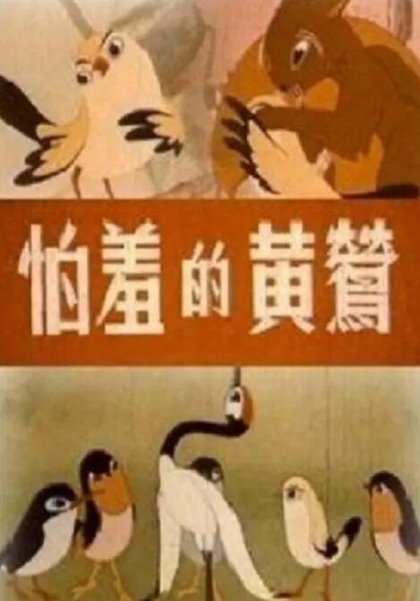 慈善组织的真面目