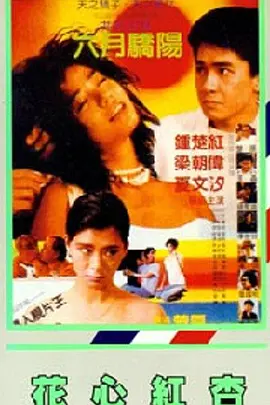 1050ti显存