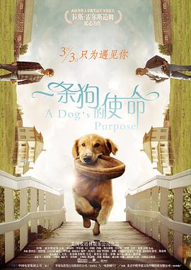 精品国产高清a毛片