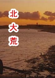 美丽的图书馆馆长