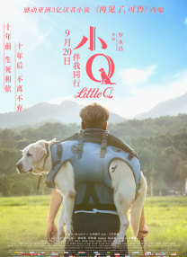 99久久精品免费观看国产